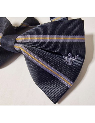 Noeud papillon conforme au Suprême Conseil Pour La France.